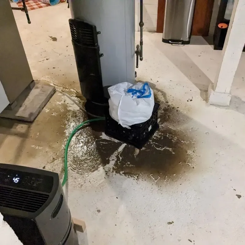 Sewage Backup Cleanup Service in Upland, PA